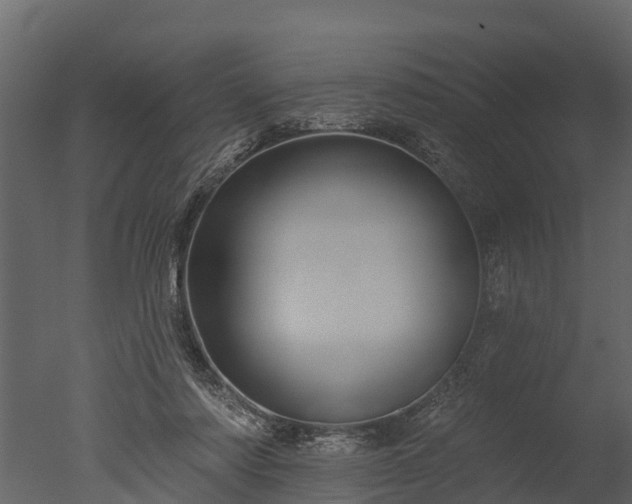 X0000050650310200506151617