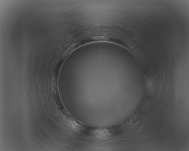 X0000050650322200506151617