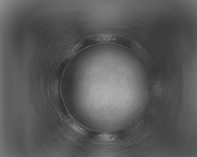 X0000050650326200506151617