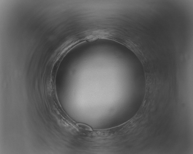 X0000050650338200506151616