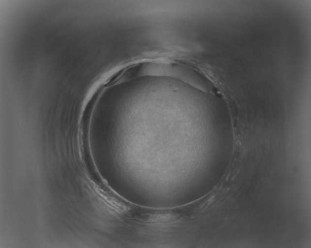 X0000050650342200506151616