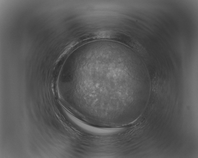 X0000050650347200506151616
