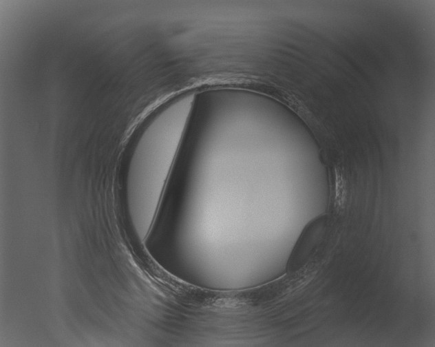 X0000050650348200506151616