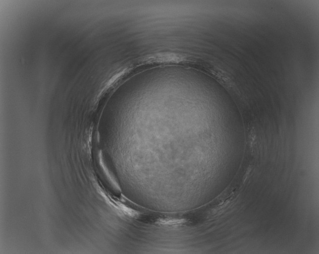 X0000050650352200506151616