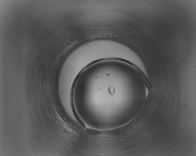 X0000050650356200506151616