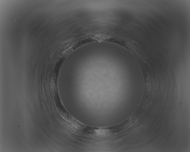 X0000050650371200506151616