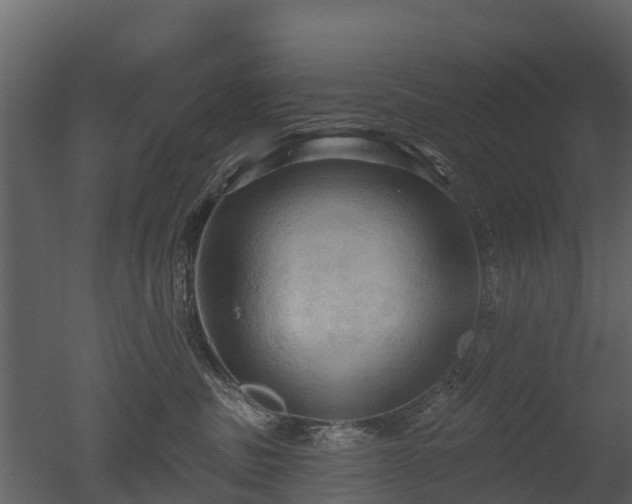 X0000050650379200506151616