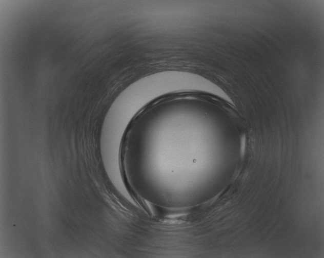 X0000050650380200506151616