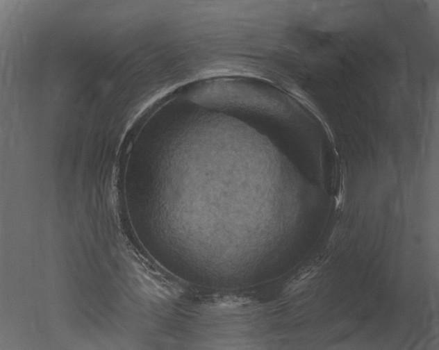 X0000050650387200506151616