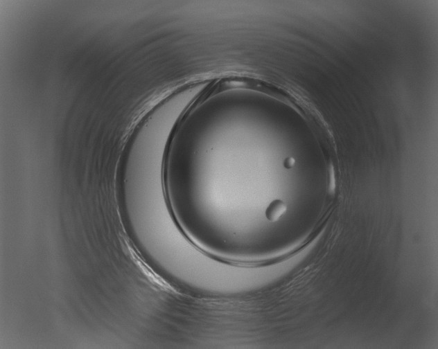 X0000050650389200506151615