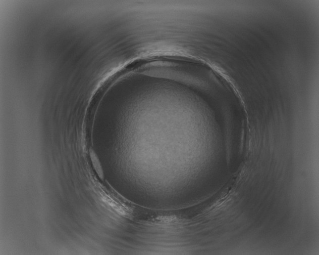 X0000050650391200506151615