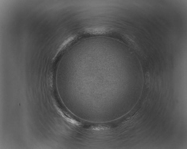 X0000050650400200506151615