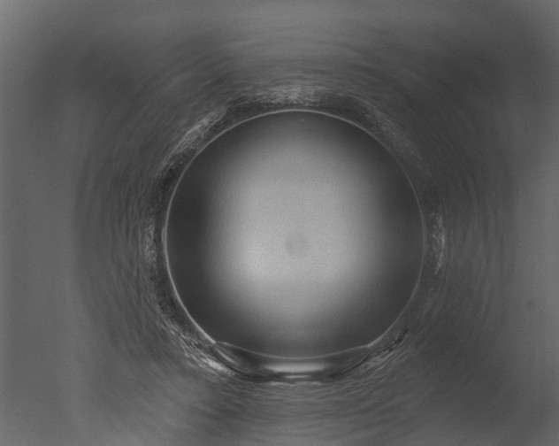 X0000050650403200506151615