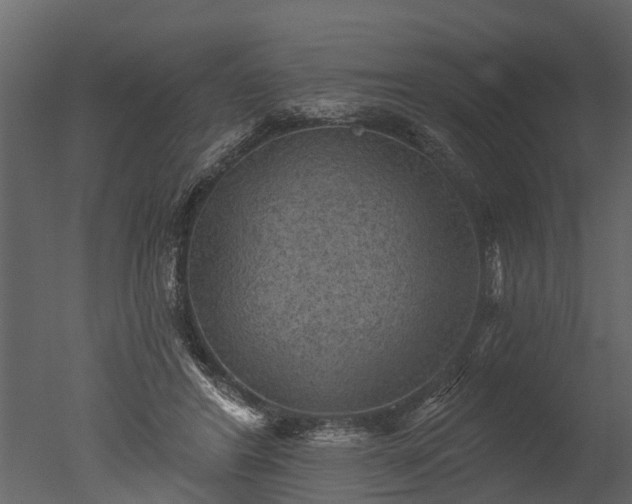 X0000050650404200506151615
