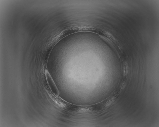 X0000050650405200506151615