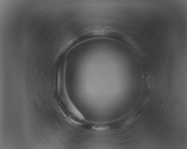 X0000050650407200506151615
