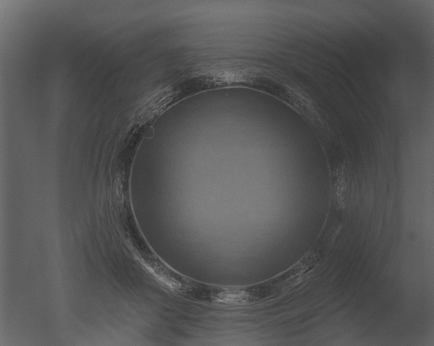 X0000050650410200506151615