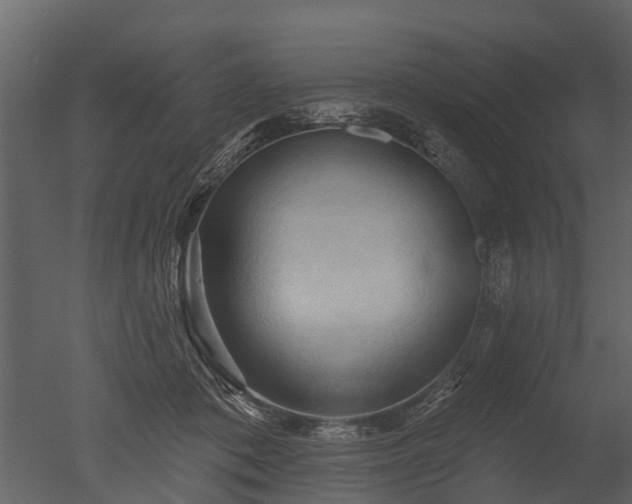 X0000050650413200506151615