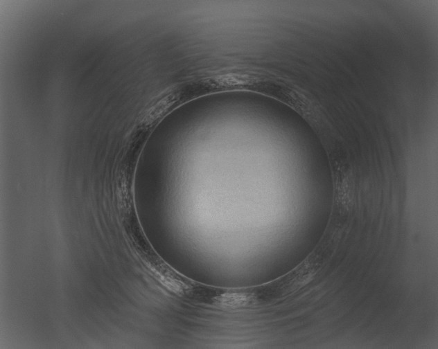 X0000050650418200506151615