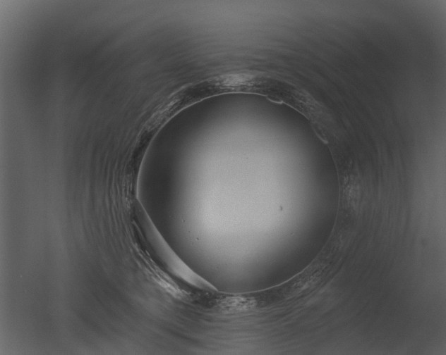 X0000050650421200506151615
