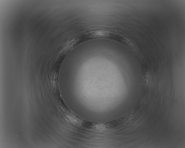 X0000050650423200506151615