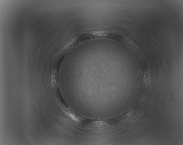 X0000050650424200506151615