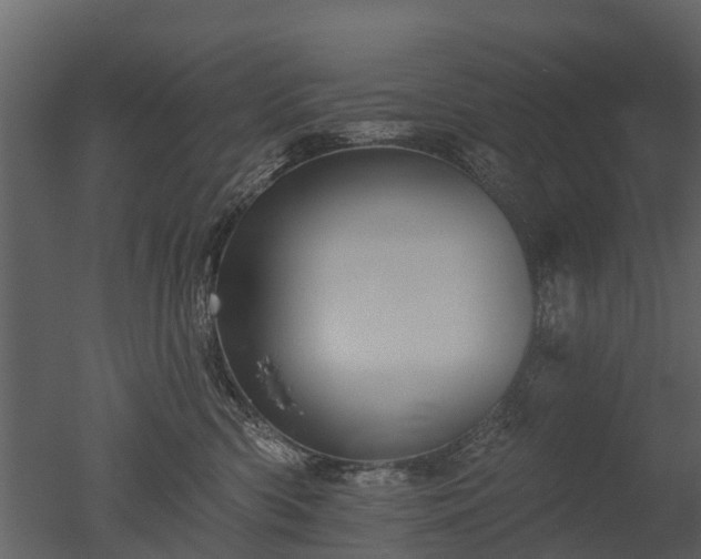 X0000050650426200506151615