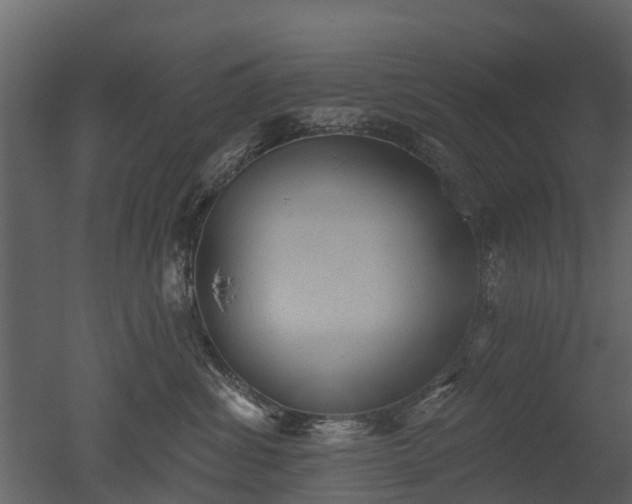 X0000050650428200506151615