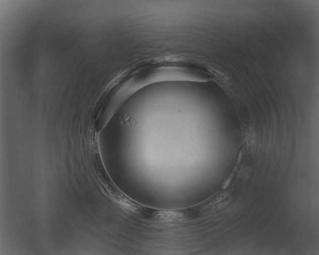X0000050650429200506151615