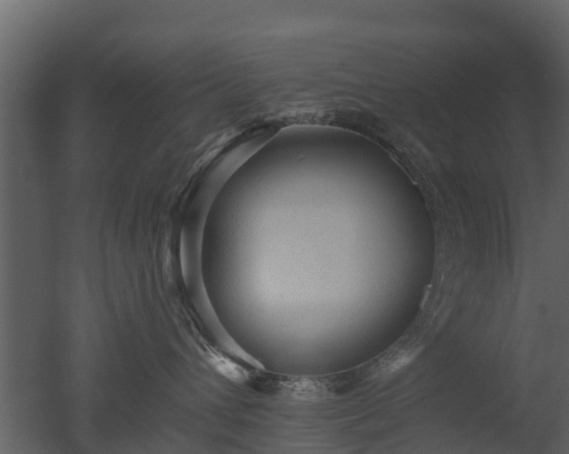 X0000050650432200506151615