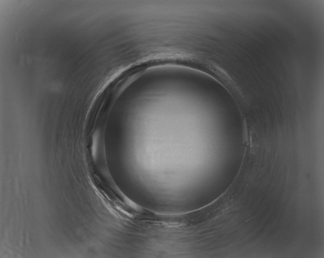 X0000050650436200506151614