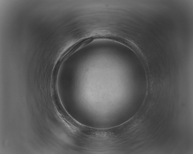 X0000050650439200506151614