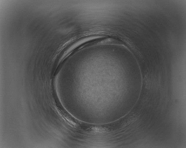 X0000050650442200506151614