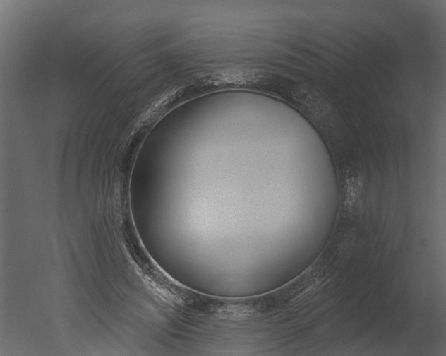 X0000050650444200506151614