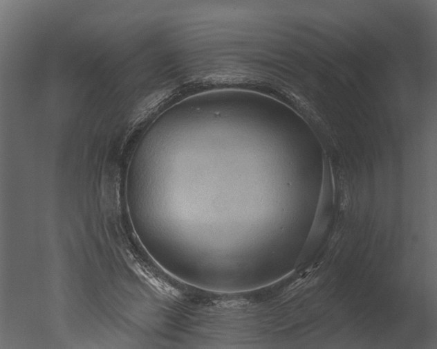 X0000050650446200506151614
