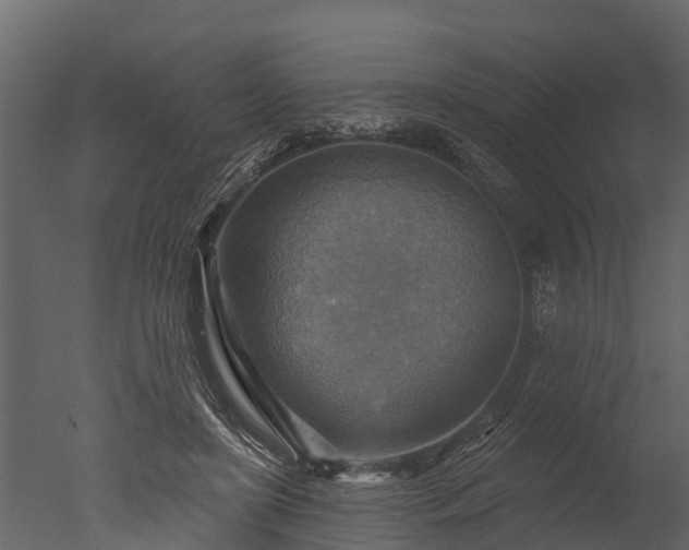 X0000050650451200506151614