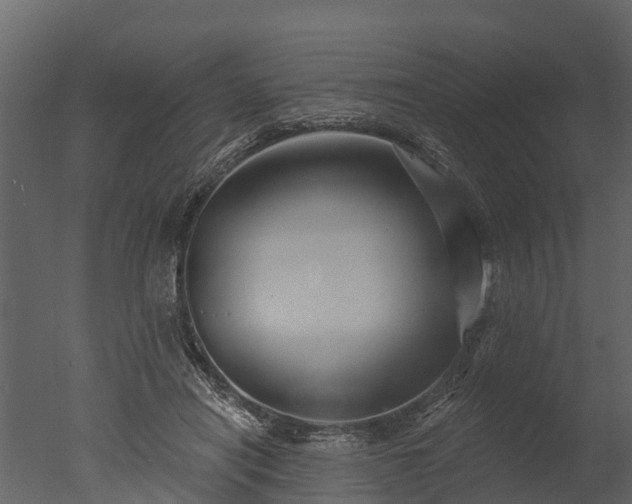 X0000050650454200506151614