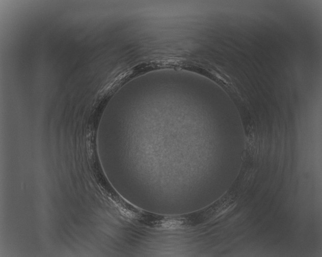 X0000050650462200506151614