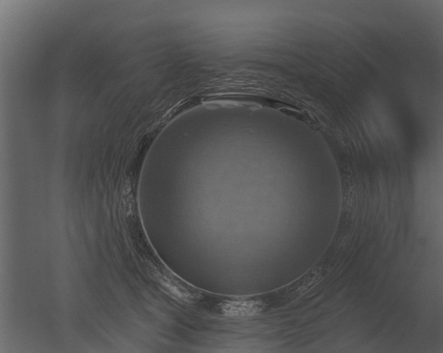 X0000050650465200506151614