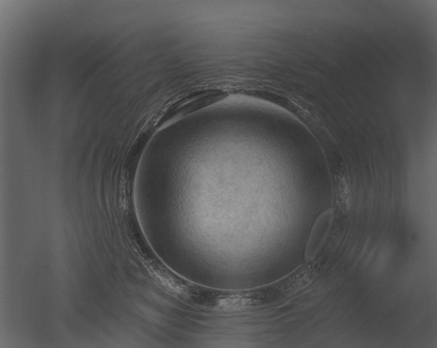 X0000050650470200506151615