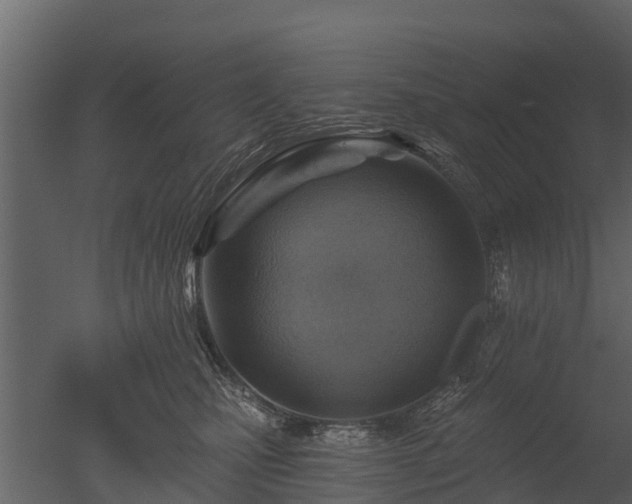 X0000050650471200506151615