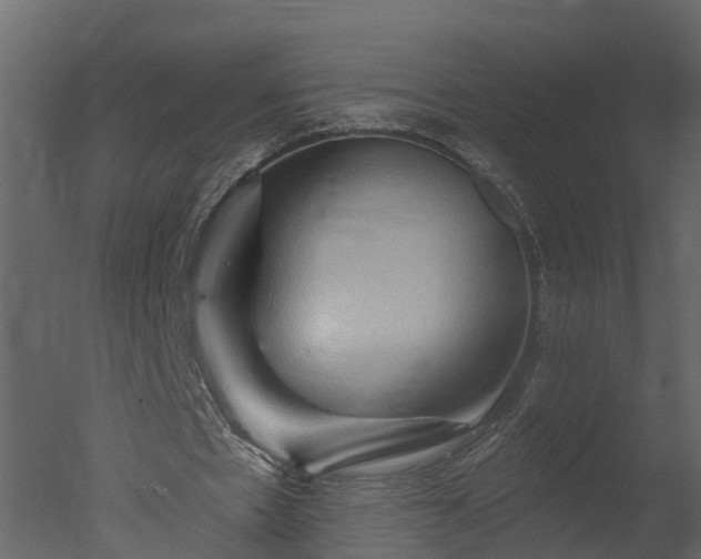 X0000050650481200506151614