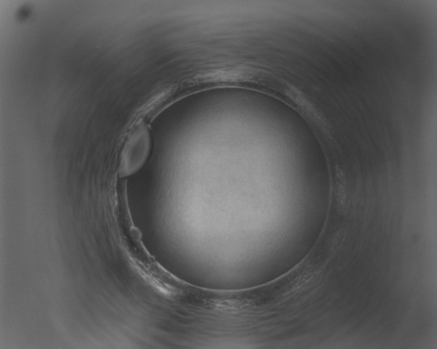 X0000050650486200506151614
