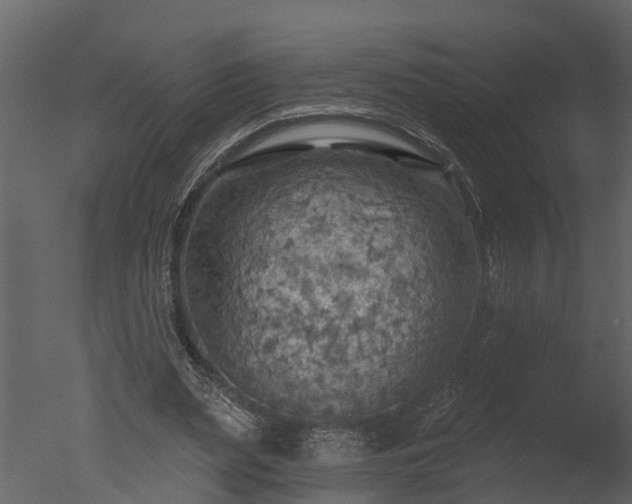 X0000050650487200506151614