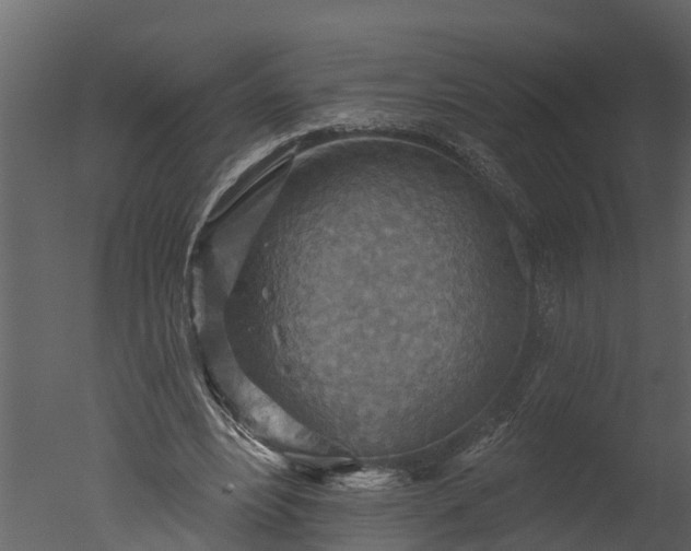 X0000050650488200506151614