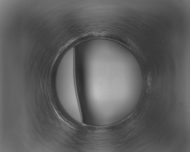 X0000050650492200506151614