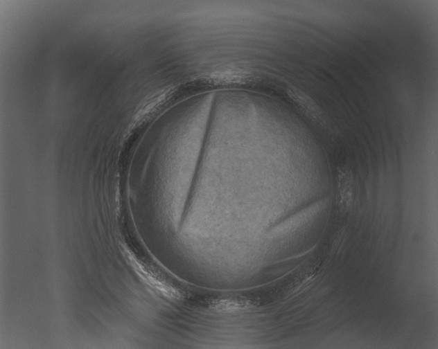 X0000050650494200506151614