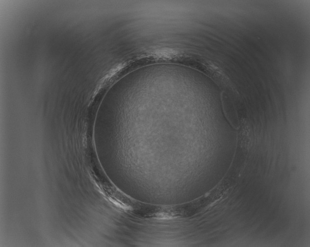 X0000050650496200506151614