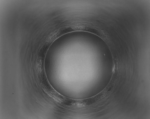 X0000050650498200506151614