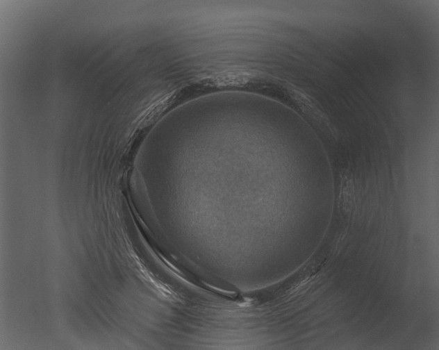 X0000050650501200506151614